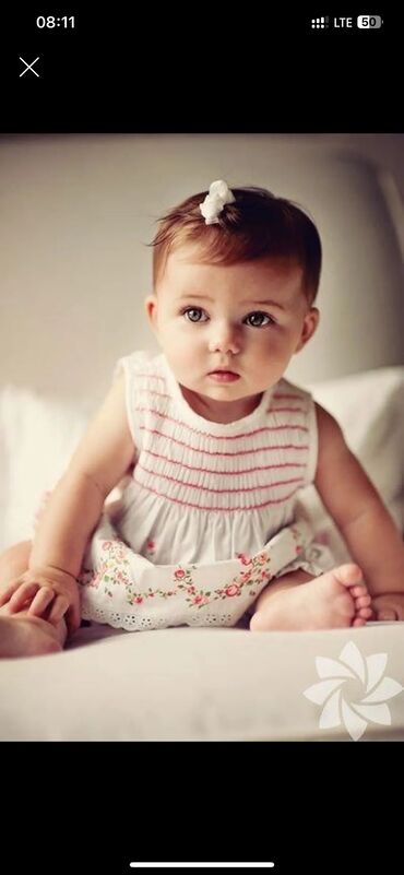 Dayələr: Daye axtarilir . celd, temizkaren esasusaqlarla unsiyyet qurmagi