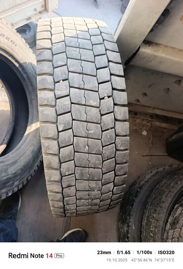 шины на спринтер рекс: Шиналар 245 / 70 / R 19.5, All-season, Колдонулган, 1 даана, Жүк ташуучу унаалар/Автобустар, Жапония, Bridgestone