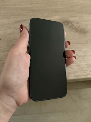 Apple iPhone: Apple iPhone iPhone 13 Pro, Graphite, Face ID — 8