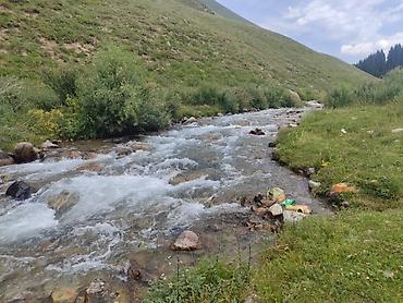 Другие автоуслуги: Принимаем заказы на бус 18 мест — 13