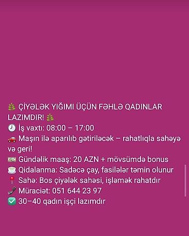 ingilis dili muellimi axtariram: Whatsapp akdivdir elaqe saxlaya bilersiz — 2