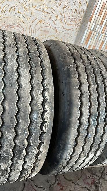 Шины: Грузовые шины (для прицепов/полуприцепов и грузовиков) - Диаметр — 8