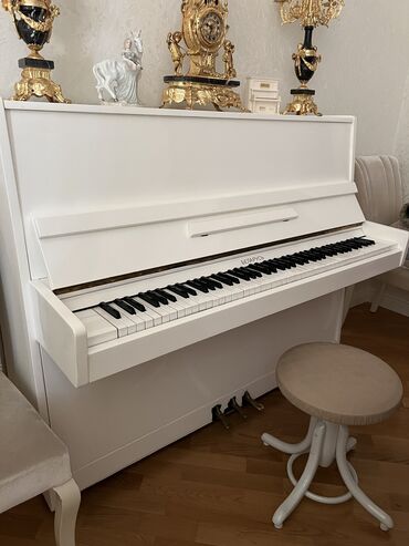 royal musiqi aləti: Piano, Belarus