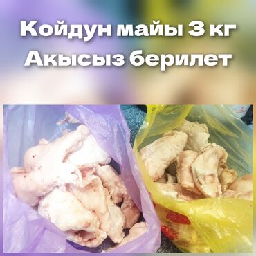 Бекерге берем: Бекерге берем