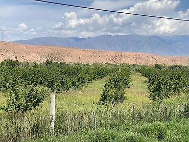 Продажа коттеджей и домов: Продаётся дом на иссык-куле+ магазин+7 гектаров земли рядом с домом — 13