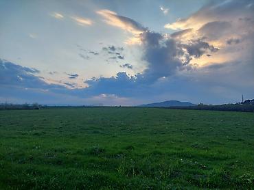 Torpaq sahələrinin satışı: Kənd təsərrüfatı — 4