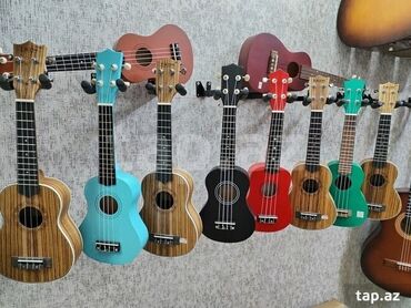 Akustik gitaralar: Akustik gitara, 6 sim, Yeni, Ünvandan götürmə — 6