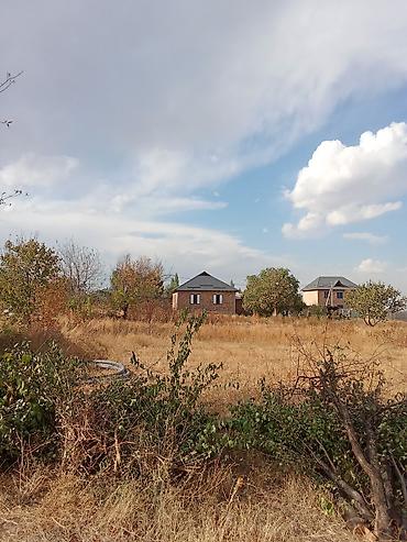 Жер тилкелери: 9 соток, Кызыл китеп — 2