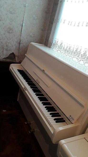 Musiqi alətləri: Pianino RÖNISCH Almaniya stehsalı. Cox yaxcı vəziyyədədi . Az — 4