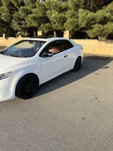 Kia: Kia Cerato: 1.6 l | 2009 il Kupe — 12