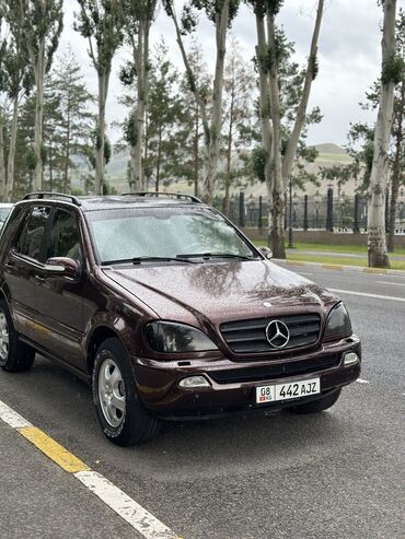 салон сиденья на мерседес 124: Mercedes-Benz ML 320: 2003 г., 3.2 л, Типтроник, Бензин, Внедорожник