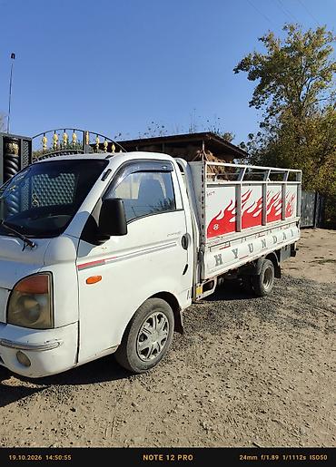 шины на крузак: Легкий грузовик, Hyundai, Стандарт, 3 т, Б/у — 8