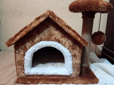 сухие корма для собак: Домики at lalafo.az сухие корма для собак: Домики