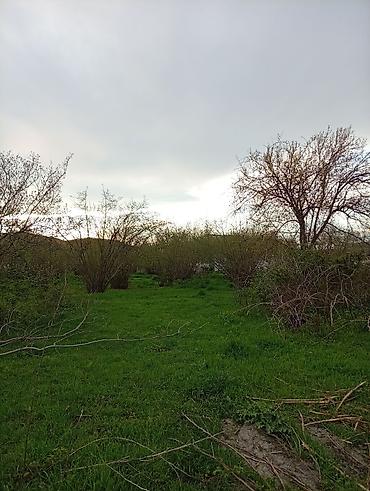 Torpaq sahələrinin satışı: 38 sot, Tikinti, Mülkiyyətçi, Kupça (Çıxarış) — 18