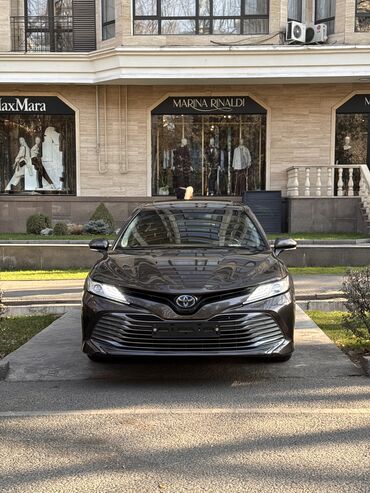 Toyota: Toyota Camry: 2018 г., 2.5 л, Автомат, Гибрид, Седан — 1