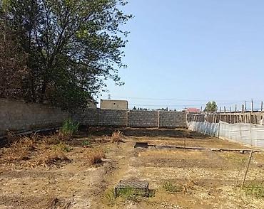 bag evlerinde: 5 sot, Tikinti, Mülkiyyətçi, Kupça (Çıxarış) — 1
