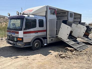 vag com: Грузовик-коневоз Mercedes-Benz Atego 817. - Специализированный кузов — 1