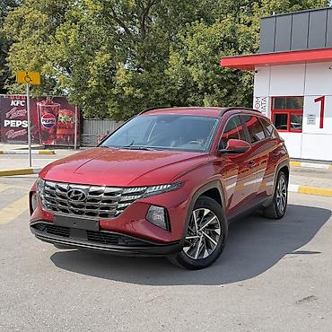 Hyundai Tucson: 2021 г., 1.6 л, Автомат, Гибрид, Кроссовер