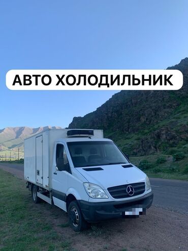 Легкий грузовой транспорт: Легкий грузовик, Mercedes-Benz, Стандарт, 3 т, Б/у