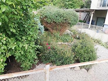 Продажа коттеджей и домов: Дом. 3 уровня. район Турусбекова/Ж.Жолу (Кудрука). 4,7 красная книга — 14