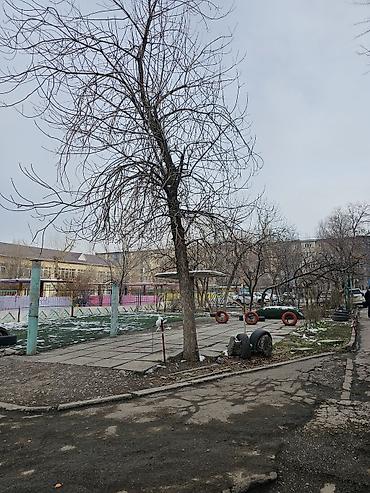 Продажа квартир: 2 комнаты, 43 м², 104 серия, 2 этаж, Старый ремонт — 11