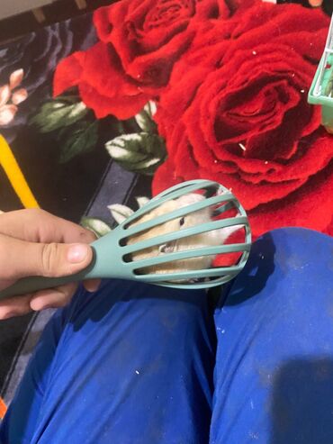 Хомяки: Хомяки — 5