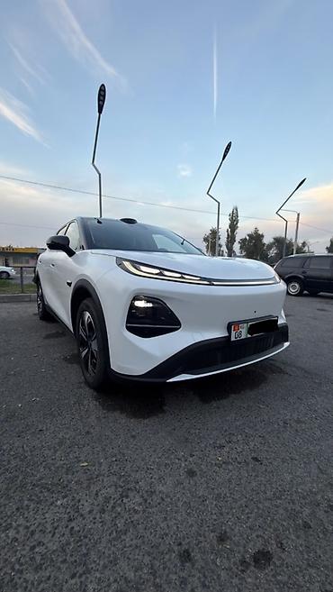 byd сигал: Zeekr : | 2026 г. Кроссовер — 2