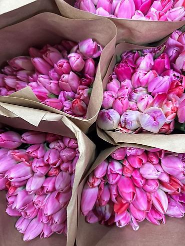 Букеты из живых цветов: Тюльпан оптом и в розницу,Тюльпаны срезанные, сортовые, упаковка по — 6