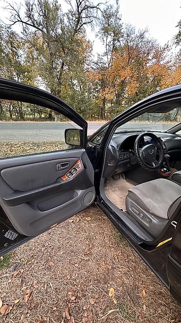 subaru wilderness: Lexus RX: 1999 г., 3 л, Автомат, Бензин, Кроссовер — 7