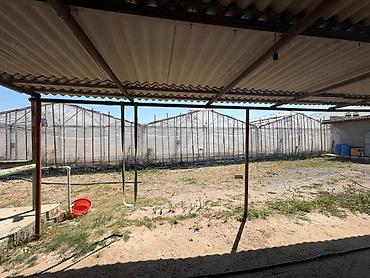Digər daşınmaz kommersiya əmlakı icarəsi: Parnik İcarəyə Verilir – Zirə qəsəbəsi Zirə qəsəbəsində, əsas yoldan — 8