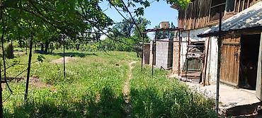 комната в аренду бишкек: Продаю участок+ дом с. Чат-Куль, ул. Почтовая, 142 - Жилой дом (Ж/Д) — 6