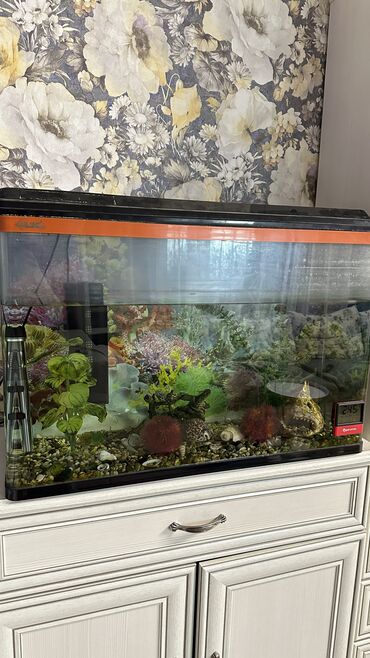 аквариум для рыбы: Продаю полностью оборудованный аквариум на 120 литров - без рыбок