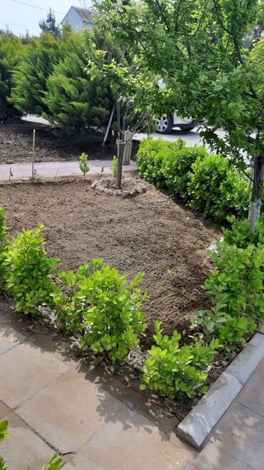 Bağ evlərinin kirayəsi: 200 kv. m, 5 otaqlı, Hovuzlu, İnternet, Kanalizasiya, Telefon — 8