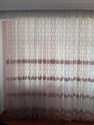 mal eti: Heresi ayrı ayrı satılır 1 eded 30 azn — 2