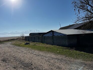 Продажа домов: Дом, 60 м², 2 комнаты, Агентство недвижимости, Косметический ремонт — 24