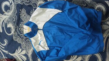 мужской одежды: Спортивный костюм цвет - Голубой