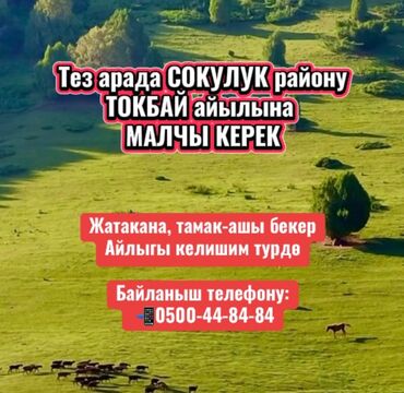 охрана дома: Тез арада СОКУЛУК району ТОКБАЙ айылына МАЛЧЫ КЕРЕК Жатакана