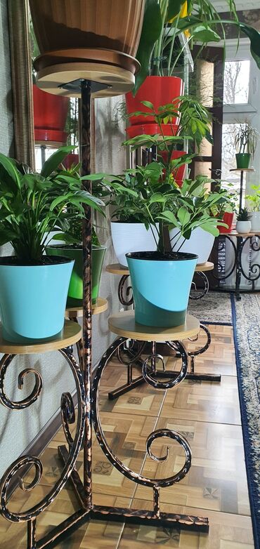 Декоративные цветы: Гүл койгучтар сатылат.биринчи ярус 52см,экинчи ярус 1м05см. баасы — 2