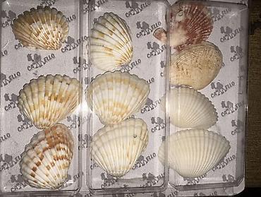 Игрушки: Очки Новые нулевки1 пара и с/защитные 2 пары распродажа дешево 300 — 8