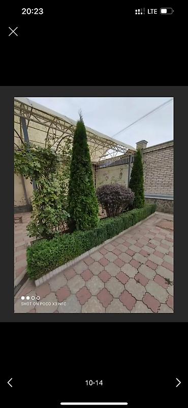 Дворники, садовники: 🌱Я Садовник приходящий раз в неделю Стрижка живой — 10