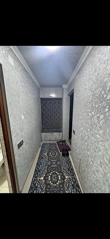 тачка садовая бишкек: Однакомнатный квартира берилет район Кок жар студент балдарга депозит — 1