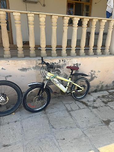 İdman velosipedləri: SAFT markalı velosipedlər. Şəkillərdə iki fərqli velosiped görünür — 1