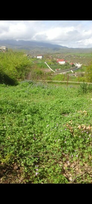 Torpaq sahələrinin satışı: 10 sot, Tikinti, Barter mümkündür, Kupça (Çıxarış)