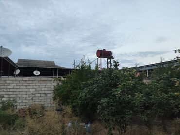 Torpaq sahələrinin satışı: 6 sot, Kənd təsərrüfatı, Barter mümkündür, Kupça (Çıxarış) — 10