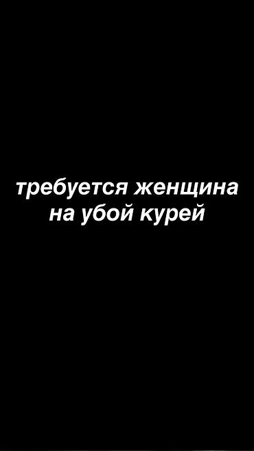 жумуш берилет мойка: Вакансия: работница на убой курей - Работа на птицефабрике/подворье — 1