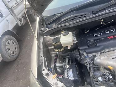 Toyota: Toyota Ipsum: 2003 г., Минивэн — 11