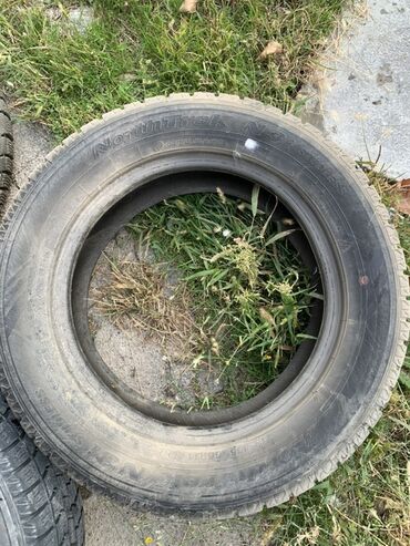 купить зимние шины на 14 бу: Шины R 16, Зима, Легковые, Dunlop