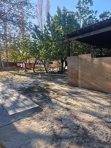 аренда квартир аламедин 1: Продаётся участок с большим зелёным двором и взрослыми деревьями. На — 10