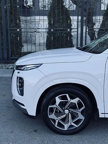 Hyundai: Hyundai Palisade: 2021 г., 2.2 л, Автомат, Дизель, Кроссовер — 7