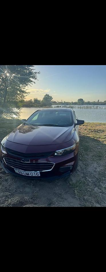 man sat: 0090 Chevrolet malibu 2016 malibu qadin masinidi şeherde sure — 4